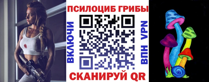 Псилоцибиновые грибы Cubensis  сайты даркнета наркотические препараты  Белогорск 